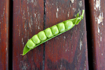Fresh Peas in Pod