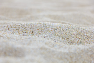Fototapeta na wymiar Texture of sand ; selective focus 