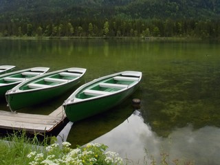 Rowing boats moored on the lake