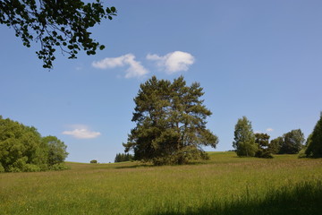 Obraz premium Scenery on highland in Czech Republic