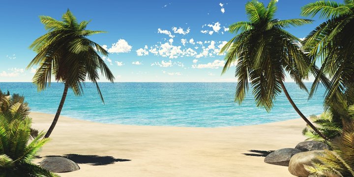 Tropical beach, sea shore with palm trees, ocean shore with tropical growth

