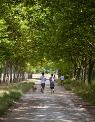 Young couple (back view) and their dog jogging in Vincennes forest of Paris, France. 