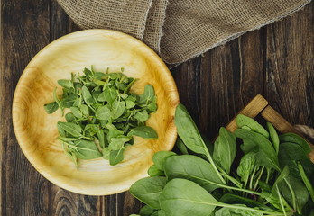 Rustic wooden tray with fresh organic local spinach leaves plants on a table. Wooden plate with greens. First spring summer crop. Vegetarian vegan healthy food. Grow your own, eat local produce
