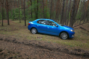 GOMEL, BELARUS - 24 MAY 2017: RENO LOGAN blue car parked in a dark pine forest.