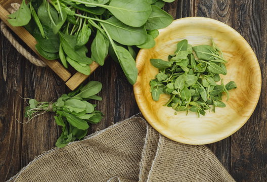Rustic wooden tray with fresh organic local spinach leaves plants on a table. Wooden plate with greens, arugula. First spring summer crop. Vegetarian vegan healthy food. Grow your own, eat local