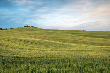 Fototapeta premium Tuscan countryside