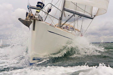 Obraz premium Sailing Boat Yacht