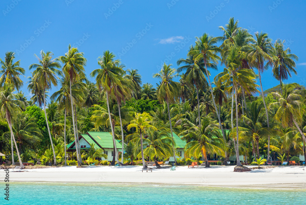 Wall mural palm trees on beautiful tropical beach on koh kood island in thailand