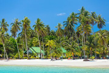 Palmiers sur la belle plage tropicale sur l& 39 île de Koh Kood en Thaïlande