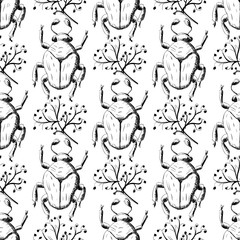 Hand drawn Sketch Beetles Seamless Pattern