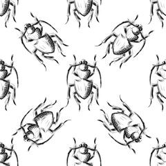Hand drawn Sketch Beetles Seamless Pattern