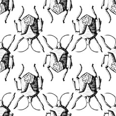 Hand drawn Sketch Beetles Seamless Pattern