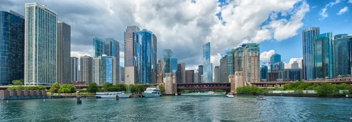 Tuinposter Chicago Skyline © renaschild