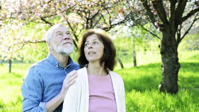 Beautiful senior couple in love outside in spring nature.
