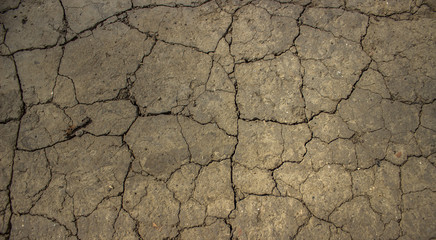 Texture, Dirt