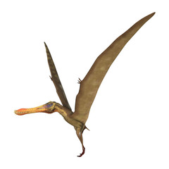 3D Rendering Pterodactyl Anhanguera on White © photosvac