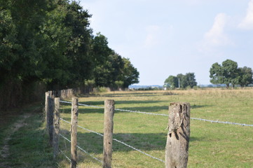 Campagne Jallaisienne (Campain Field France)