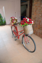 Fototapeta na wymiar Group of roses in basket decorate on old bicycle.