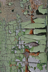 Background from an old wooden wall with peeling paint surface