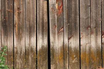 Wood plank texture as background