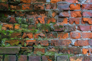 Abstract old damaged brick wall with cracks and moss and lichen of textured background with space for copy text.