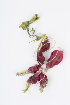 Dried little red radish vegetables on white background. 