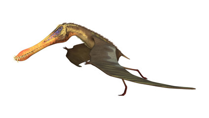 3D Rendering Pterodactyl Anhanguera on White © photosvac