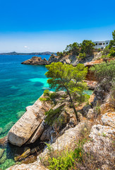 Fototapeta na wymiar Beautiful coastline on Majorca Cala Fornells, Spain Mediterranean Sea