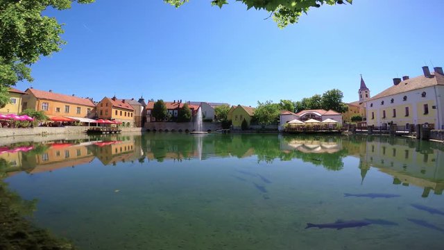 Lake and big fishes ( Grass carp) in a small town Tapolca ( Hungary)