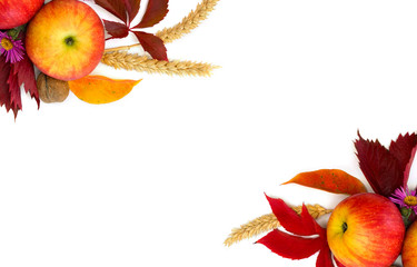 Apples with leaves, walnuts, wheat, red leaves grapes and flowers on white background with space for text. Top view, flat lay. Arrangement of thanksgiving