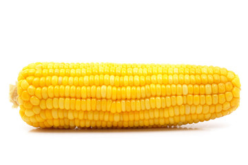 Boiled corn on white background