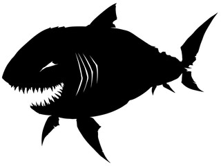 Black graphic silhouette shark with sharp teeth