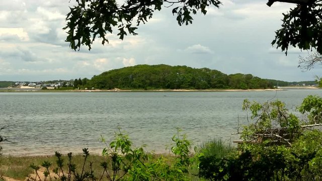Peaceful summer escape to secluded beach Cape Cod