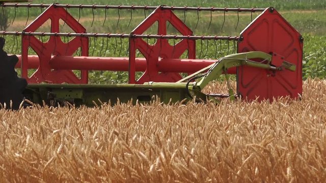 Combine harvester machine harvesting ripe wheat crops in cultivated agricultural field
