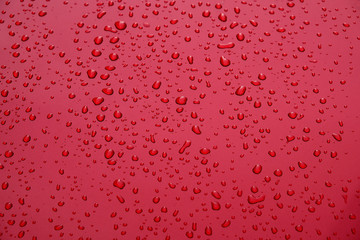 Water drops on red background.