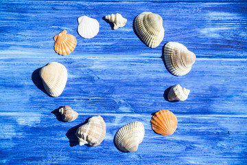 Seashells on a blue wooden background. Frame and copyspase