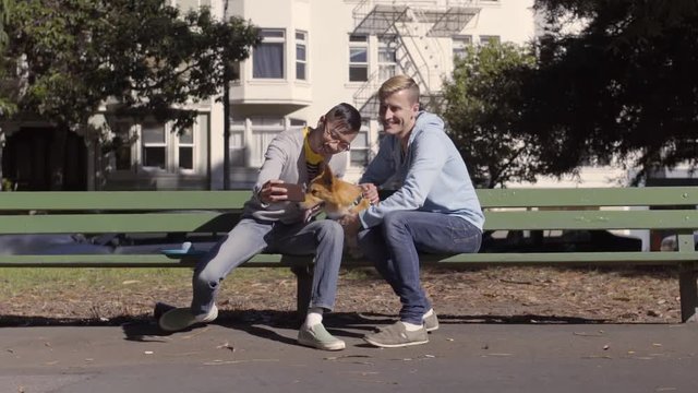 Cute Gay Couple Take Photos/Selfies With Their Pembroke Welsh Corgi Dog On Park Bench 