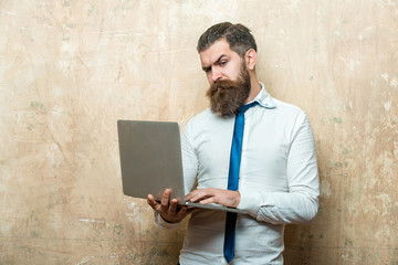 bearded man or hipster with long beard work on laptop