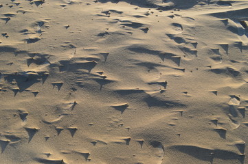 Great nature,Råbjerg Mile in Denmark