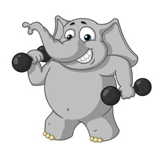 Naklejka premium Big collection vector cartoon characters of elephants on an isolated background. Sports, dumbbells in the hands, fitness. 