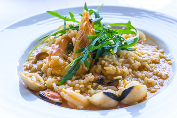 Tasty risotto with Shrimp, fresh herbs vegetables on a white plate