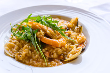 Tasty risotto with Shrimp, fresh herbs vegetables on a white plate