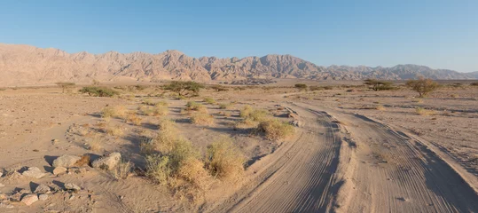 Papier Peint photo Lavable Sécheresse Jordan desert panorama