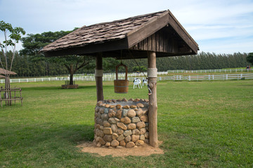 Wooden well water
