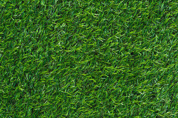 Green grass background and textured