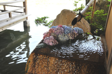紫陽花と御手洗