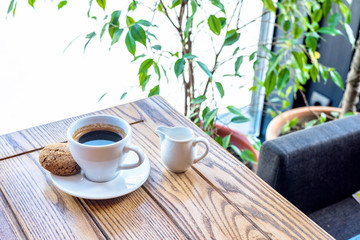 Coffee cup with cookie on wooden table in restaurant with view on window and plant.