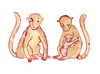 Cute cartoon monkey family painted in watercolor on clean white background