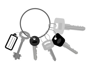 Key set with keyring