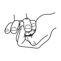 close-up hand mould sushi in restaurant - vector illustration sketch hand drawn with black lines, isolated on white background